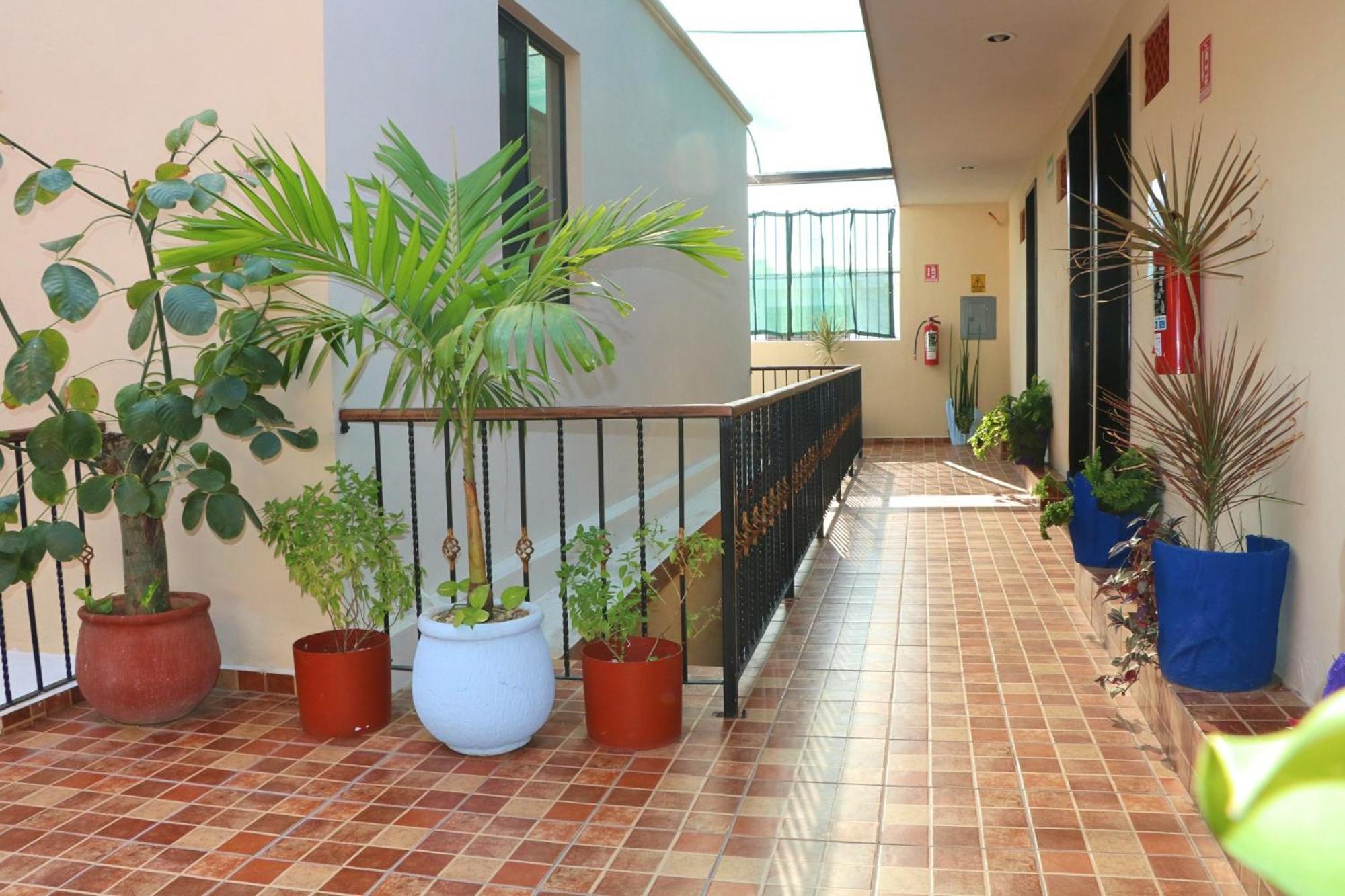 Hotel Casa Pellegrin ميريدا المظهر الخارجي الصورة