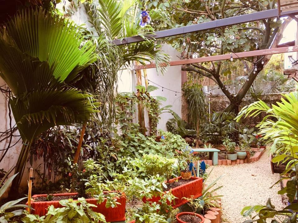 Hotel Casa Pellegrin ميريدا المظهر الخارجي الصورة