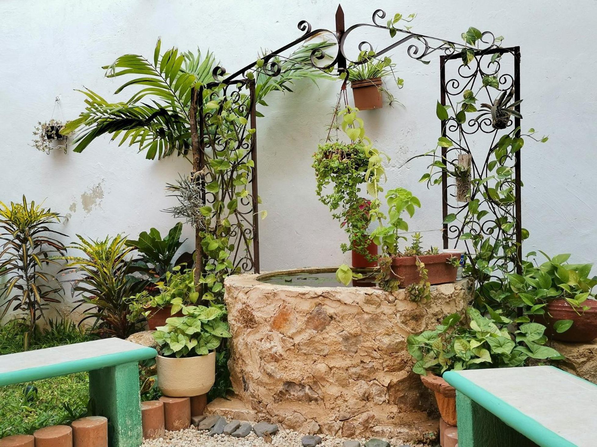 Hotel Casa Pellegrin ميريدا المظهر الخارجي الصورة