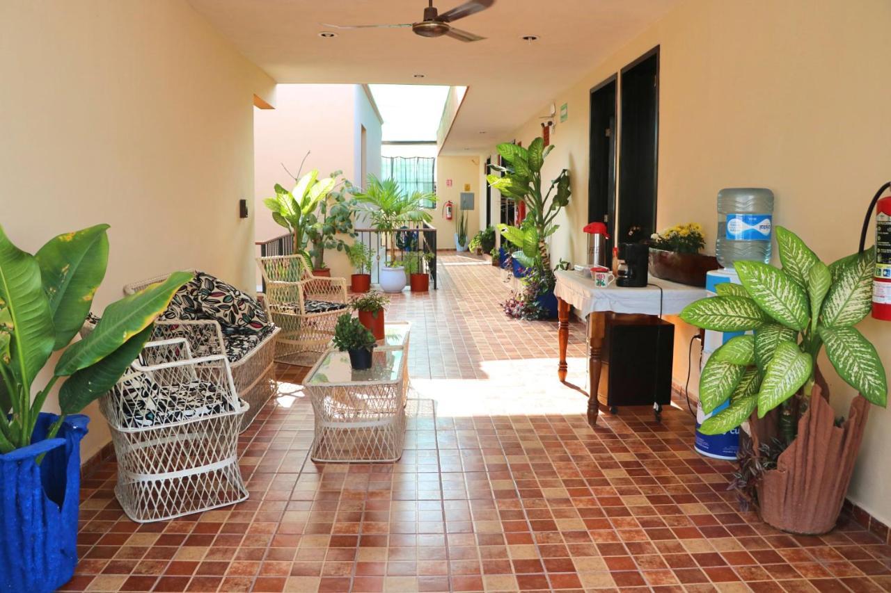 Hotel Casa Pellegrin ميريدا المظهر الخارجي الصورة