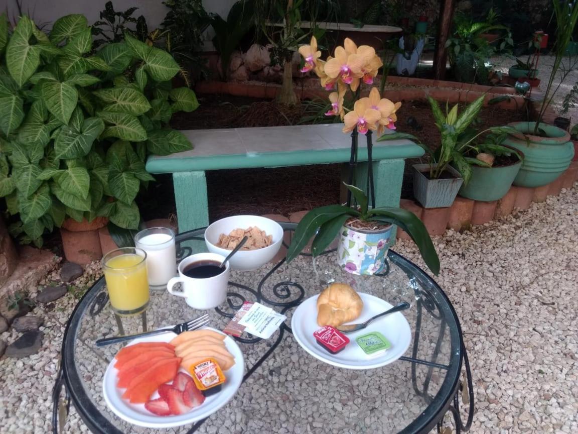 Hotel Casa Pellegrin ميريدا المظهر الخارجي الصورة